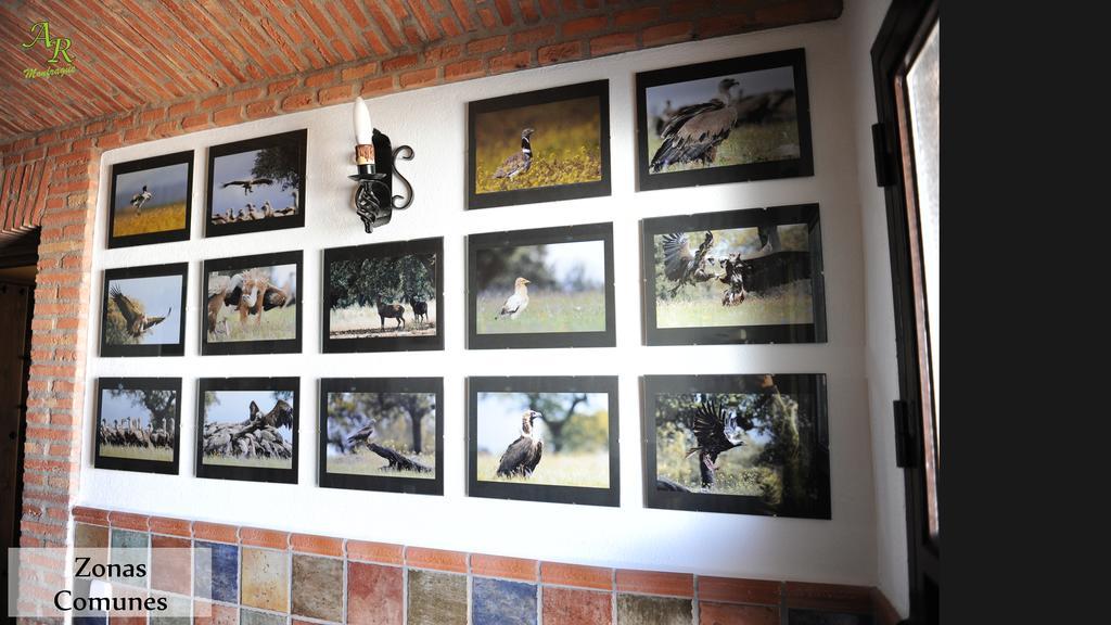 Apartamentos Rurales Monfraguee Torrejón el Rubio Εξωτερικό φωτογραφία